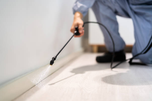 Licensed Pest Control service in Rapid City, SD - Show Me Pest Control