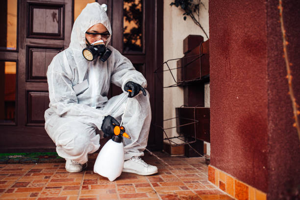Reliable Wasp Removal contractor in Rapid City, SD by Show Me Pest Control
